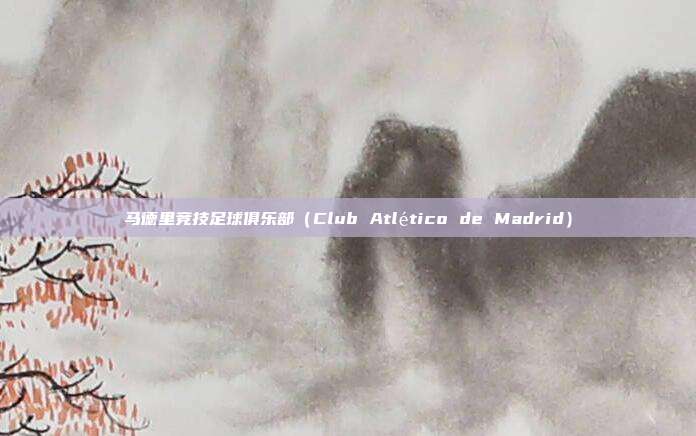 马德里竞技足球俱乐部（Club Atlético de Madrid）